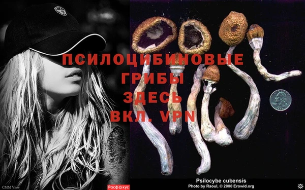 стаф Вяземский