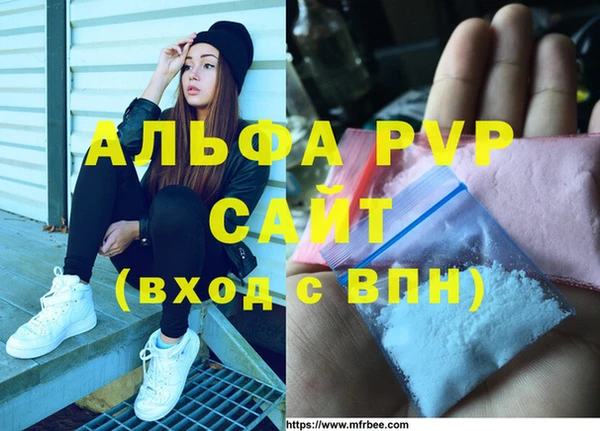 стаф Вяземский