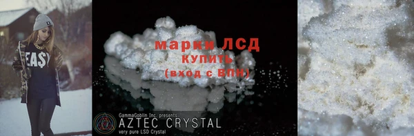 стаф Вяземский