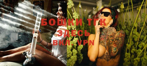 стаф Вяземский