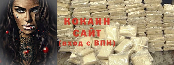 стаф Вяземский
