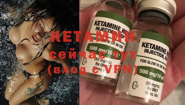 стаф Вяземский