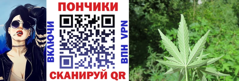 Купить закладки  Туран  Конопля сатива 
